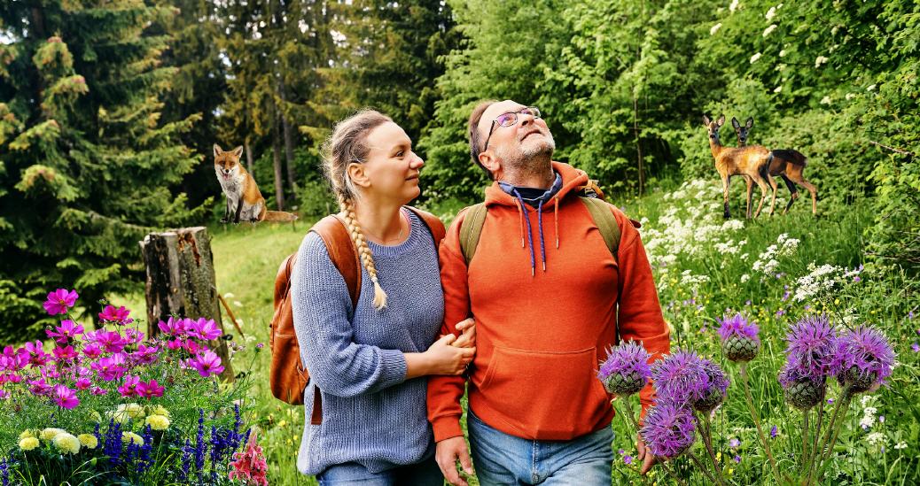 Fr&uuml;hjahrswanderung im oberen Ahrgebirge!