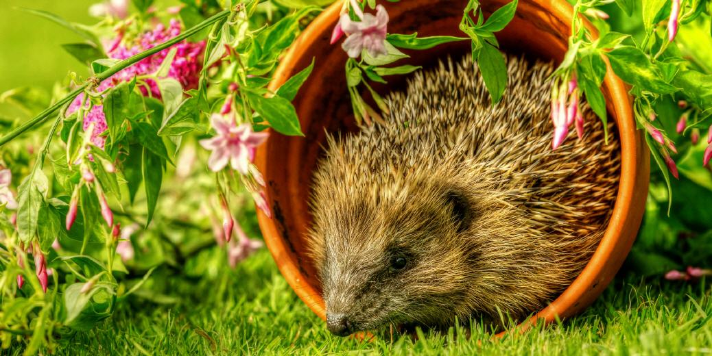 Raus aus der Scheune - Der Fr&uuml;hling ist da!