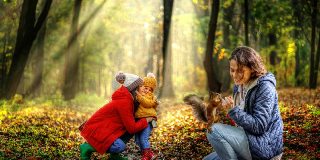 Herbstlicher Waldspaziergang!
