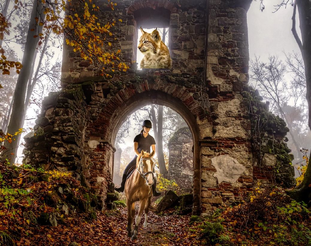 Geheimnisvolles Ahrgebirge