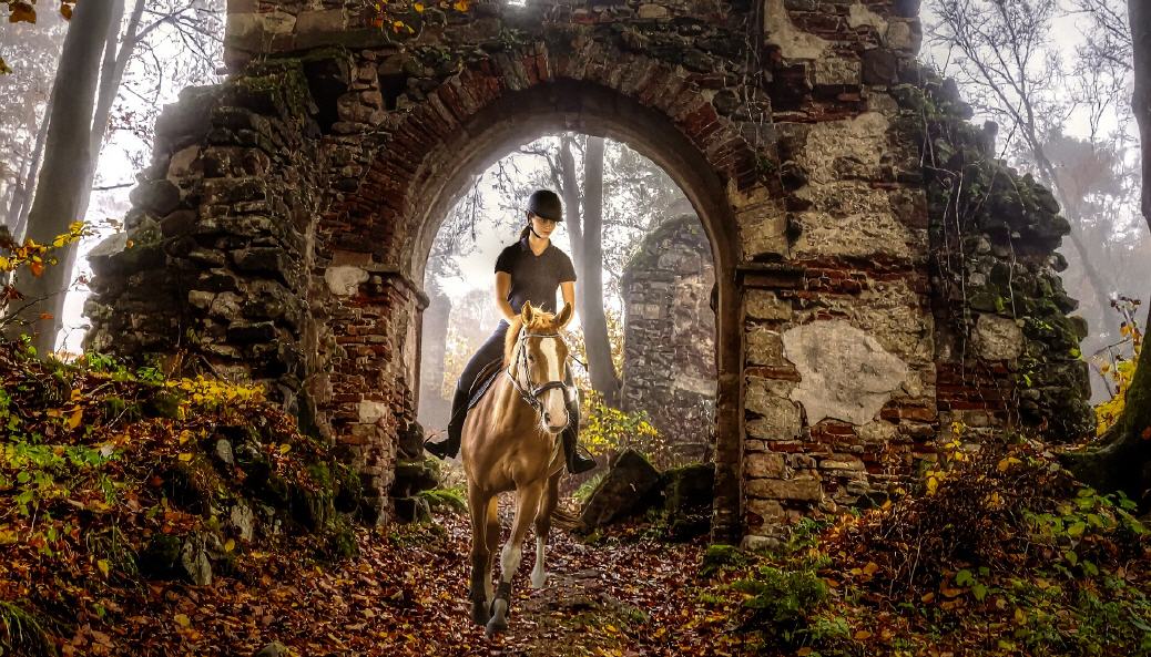 Geheimnisvolles Ahrgebirge