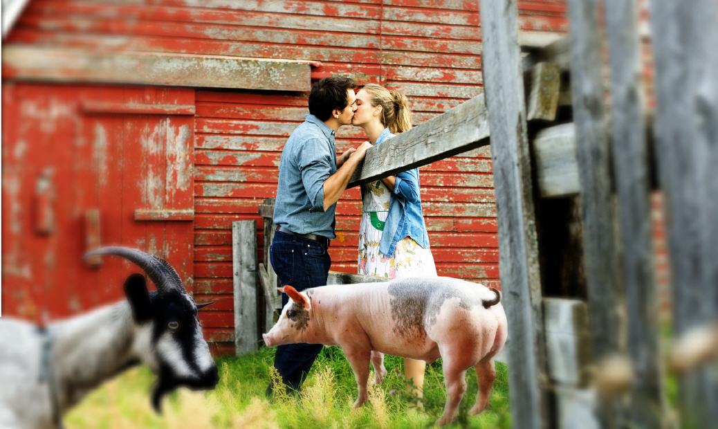 Zwischendurch: Motivationsku&szlig; auf einem Bauernhof
