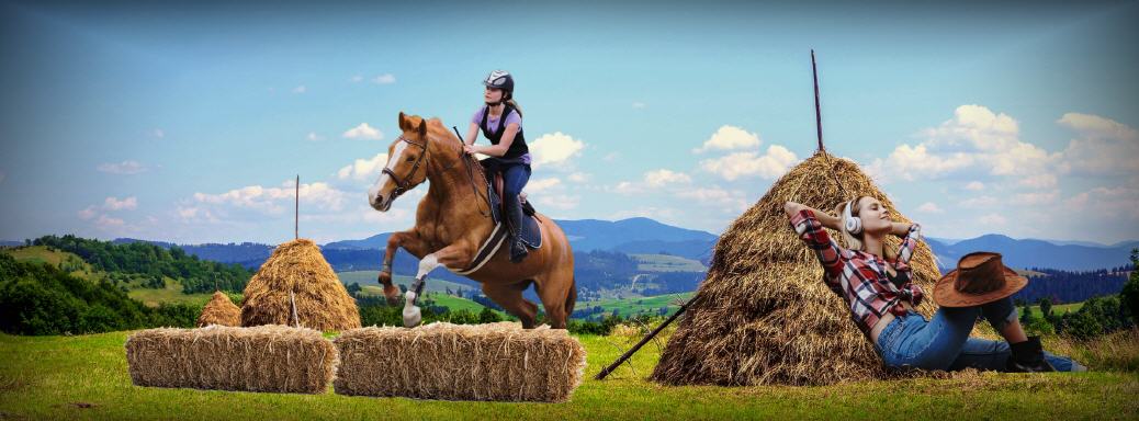 Erntezeit im Ahrgebirge!