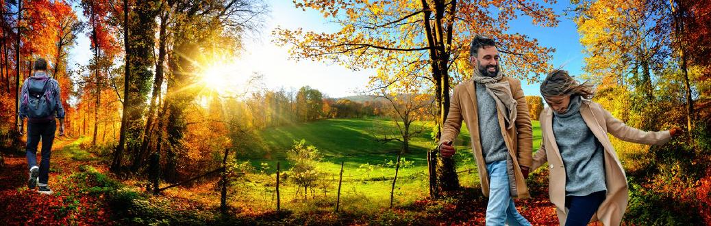 Viele Wege vom Ahrgebirge in's sch&ouml;ne Ahrtal!