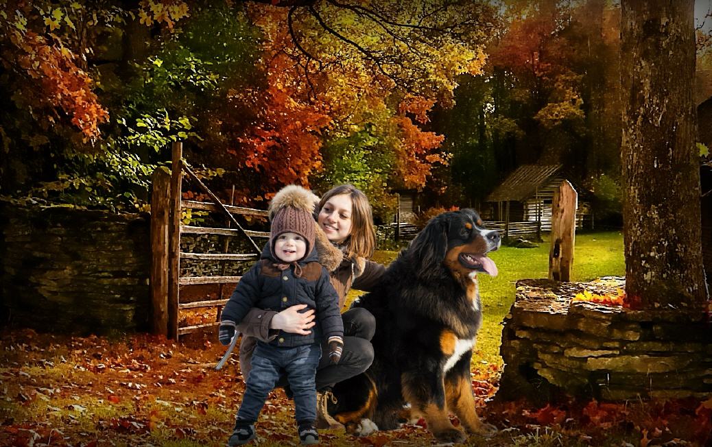 Einfahrt Bauernhof im Ahrgebirge!