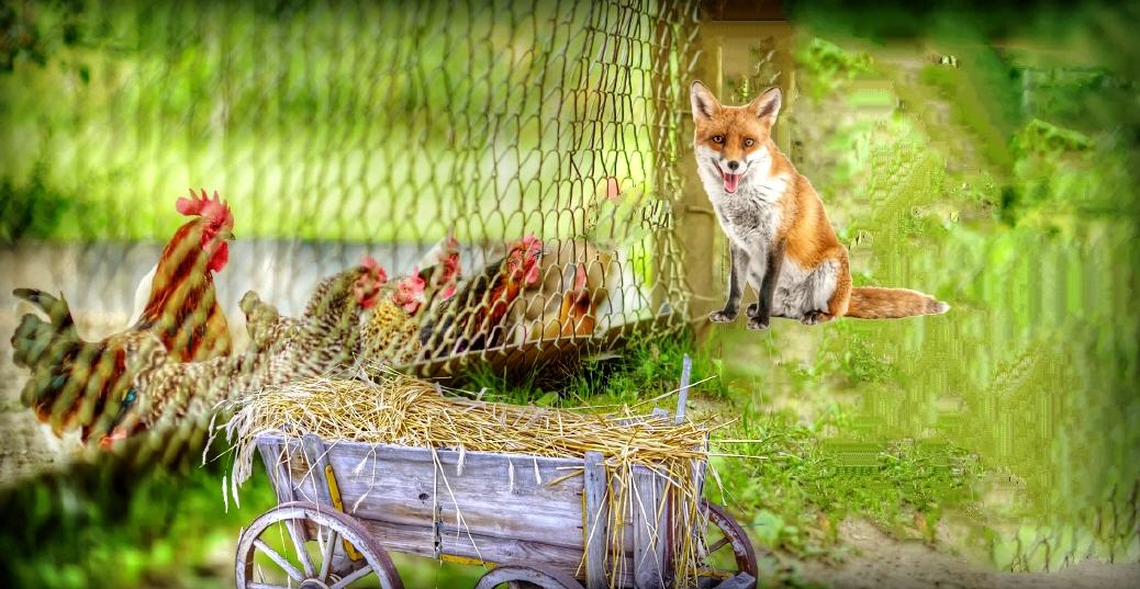 Hallo zusammen! Warum seid ihr eingesperrt?