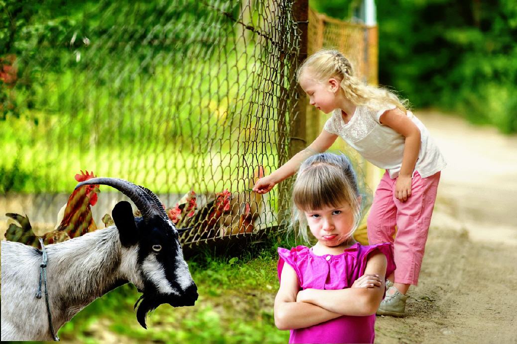 Opas Gei&szlig;bock mag mich nicht, weil ich Fan